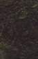 Preview: BIO-GROUND